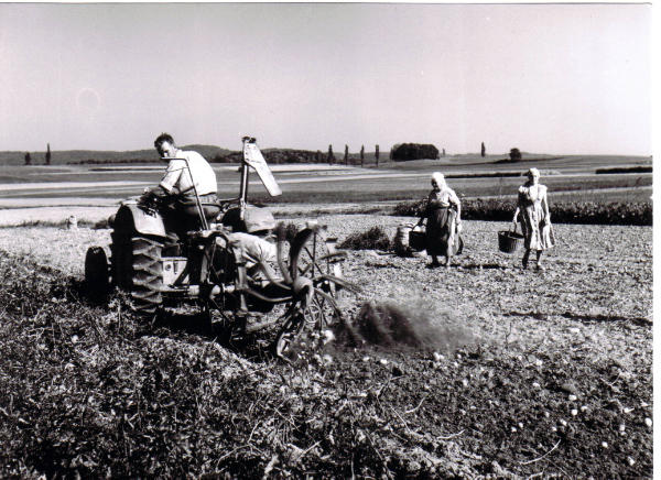 Die Kartoffelernte ist und war immer sehr arbeitsintensiv.