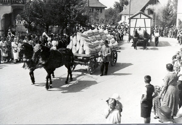 In den Jahren 1933 bis 1936 wurde der Schnittersonntag, ein Erntedankfest mit einem Umzug, gefeiert. Das Pferdegespann zieht einen mit Mehlsäcken beladenen Wagen. 