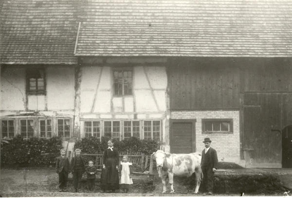Foto 1900
Familie Reinhard Volkart mit Kuh vor ihrem Hausteil (rechts im Bild) an der Bühlstrasse in Nöschikon. Der Hausteil links gehört Herrn Anderhalden. Beide Hausteile sind bis heute (J. 2011) erhalten geblieben.