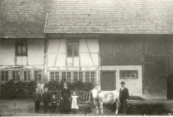 Foto 1900
Familie Reinhard Volkart mit Kuh vor ihrem Hausteil (rechts im Bild) an der Bühlstrasse in Nöschikon. Der Hausteil links gehört Herrn Anderhalden. Beide Hausteile sind bis heute (J. 2011) erhalten geblieben.