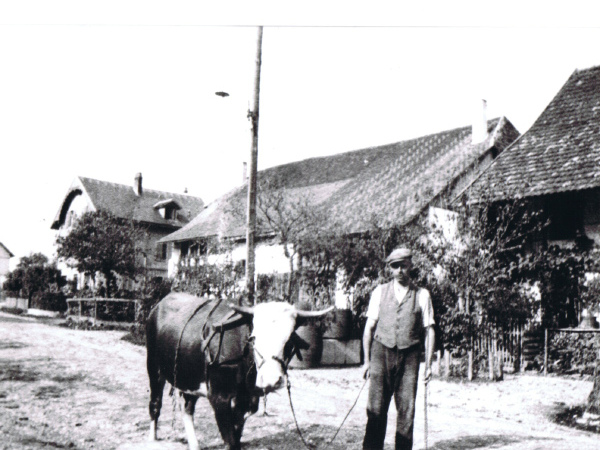 Bauer mit Kuh