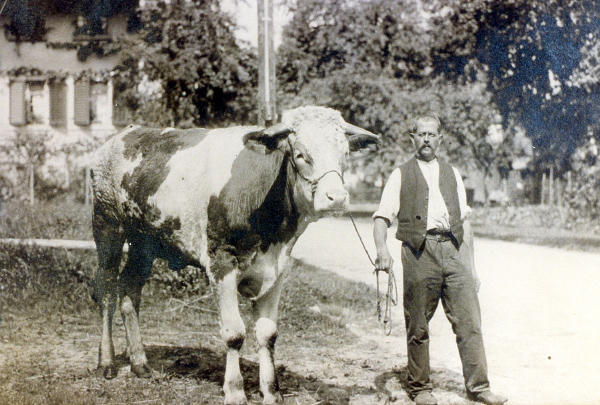 Foto 1918
Johann Heinrich Moor (Vetter Heiri) mit Muni.