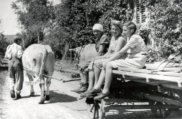 Foto 1952
Familie Volkart Reinhard's fahren auf dem Madweg ins Feld.
