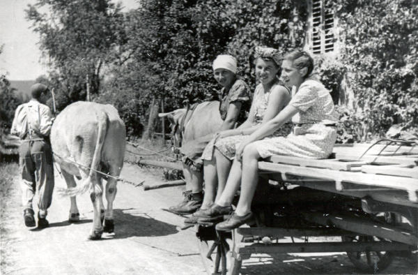 Foto 1952
Familie Volkart Reinhard's fahren auf dem Madweg ins Feld.