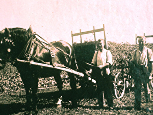 v.l. Ernst Müller und Heinrich Moor mit Pferdegespann