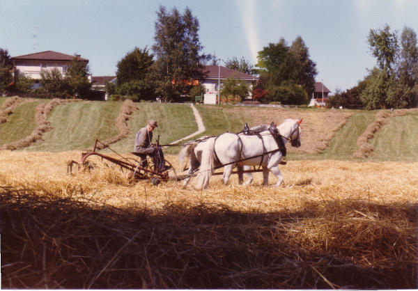 Dölf Volkart im Spitzacher (Grafschaft)
