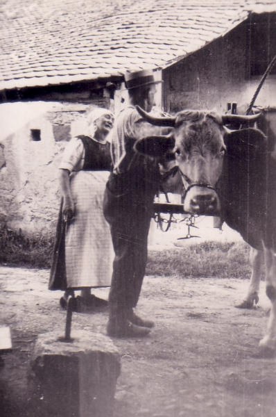 Hartmann und Anna Volkart-Pfister