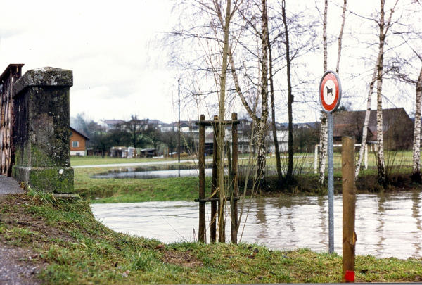 Hochwasser Glatt, 1977
Die Eichiwiesen werden überflutet.