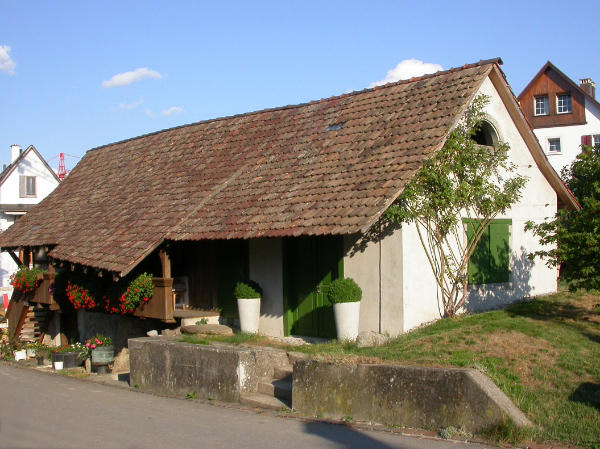 Foto 2009