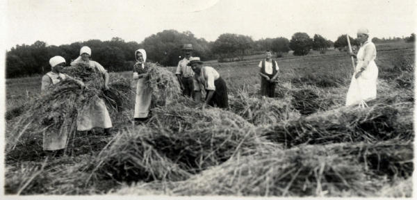 Foto 1920
Mitglieder des Töchternchors bei der Getreideernte