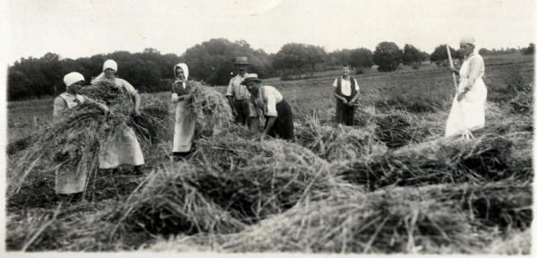 Foto 1920
Mitglieder des Töchternchors bei der Getreideernte