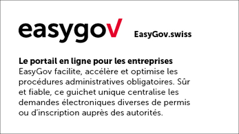 easygov.swiss