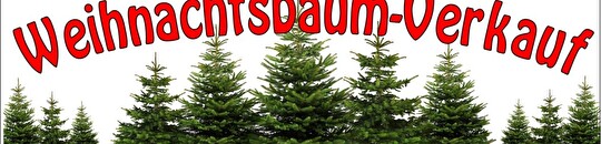 Weihnachtsbaum