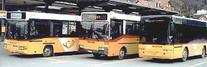 Ortsbus