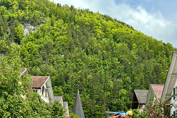 Warenmarkt Meiringen