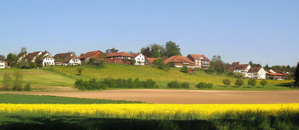 Das Wildsberg-Quartier liegt erhöht, mit Blick auf den See und zum Teil in die Berge.