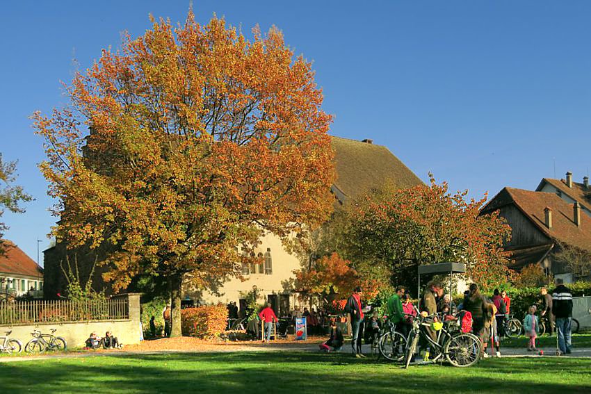 Im Landenberghaus gibt es ein Café/Bistro mit Terrasse und Blick zum Greifensee.
