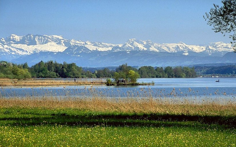 Blick über den Greifensee zu den Glarner Alpen (Glärnisch und Bös Fulen).