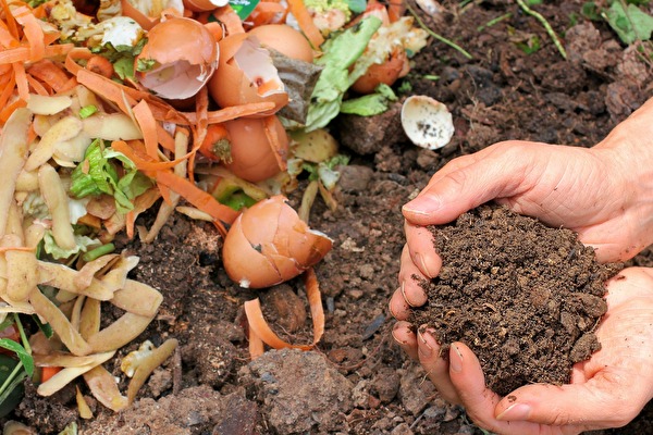 Grüngut auf einem Kompost und Hände mit Erde