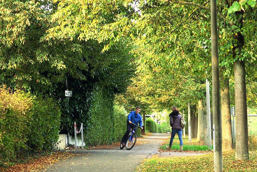 Die Quartiere in Greifensee sind durch verschiedene Gehwege mit dem Schulhaus und dem Bahnhof verbunden. Hier der Weg vom Langacherquartier zum Bahnhof.