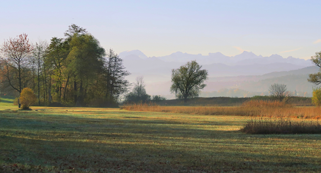 Naturlandschaft am Greifensee