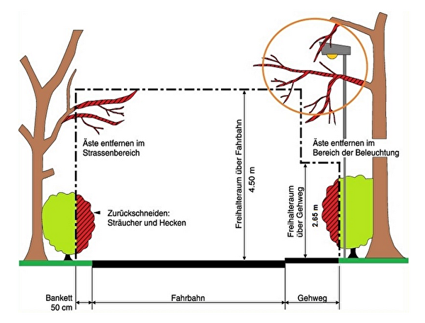 Anleitung Zurückschneiden von Planzen an Strassen, Plätzen und Wegen