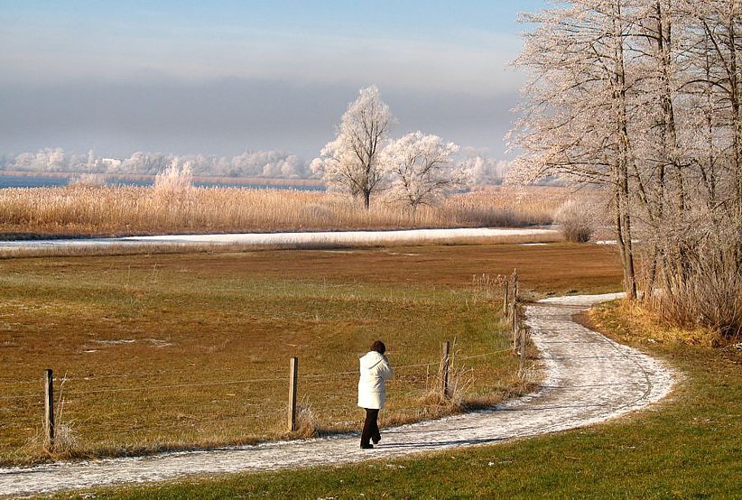 Der Wanderweg rund um den Greifensee bringt immer wieder überraschende Ausblicke. Hier unterwegs zwischen Greifensee und Schwerzenbach. 