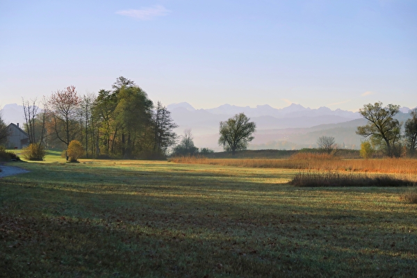 Naturschutzgebiet am Greifensee