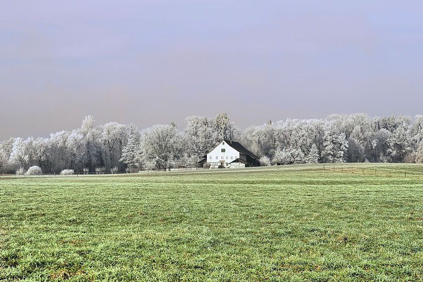 Ein breiter Landwirtschaftsgürtel trennt das Baugebiet vom See. Im Bild das Gebiet Furen mit Blick zum Lochacher (westlicher Gemeindeteil).