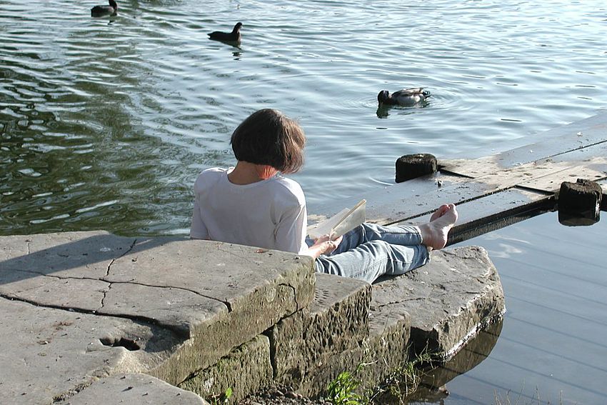 Lesen mit Seeblick.