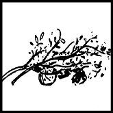 Icon Häckselgut 