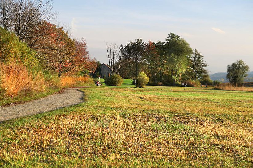 Frühjahr und Herbst sind die angenehmsten Wanderzeiten am Greifensee.