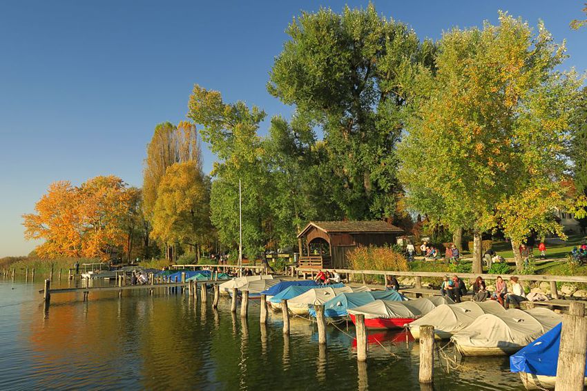 Das Seeufer mit Bootsanlegestellen südlich des Städtchens Greifensee.