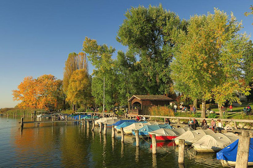 Am Schiffsteg südlich des Städtchens Greifensee.