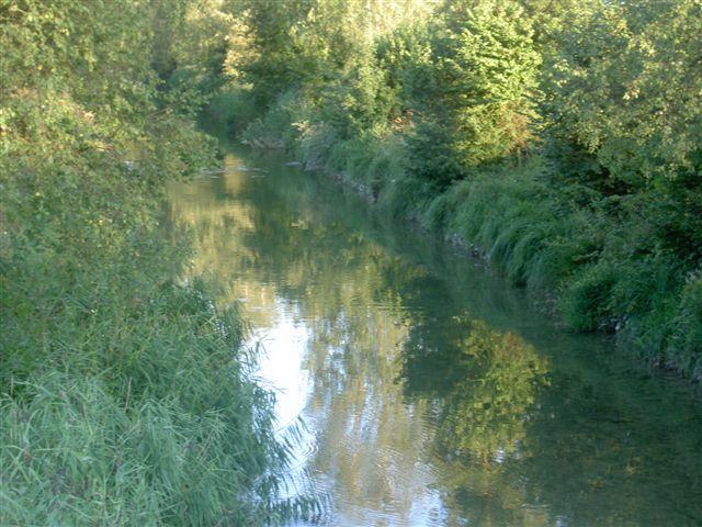 Die Glatt zwischen Fällanden und Schwerzenbach.