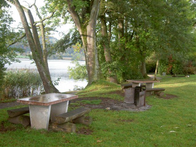 Gemütlicher Rastplatz direkt am See (zwischen Niederuster und Riedikon).