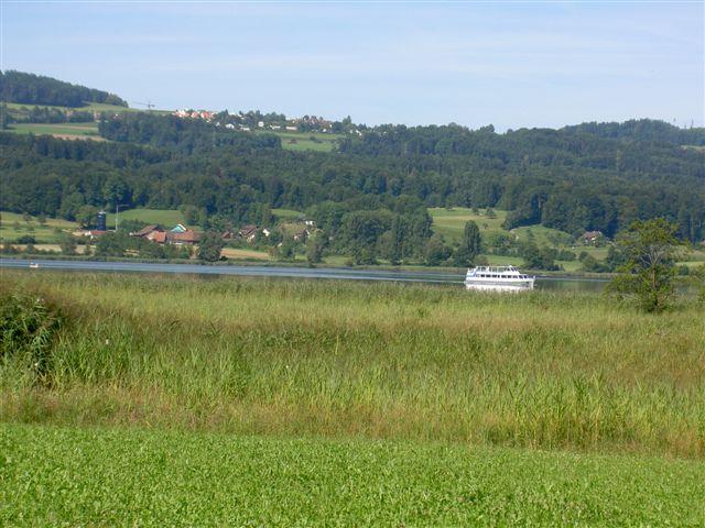 Rundfahrten auf dem Greifensee. Details siehe unter www.sgg-greifensee.ch.