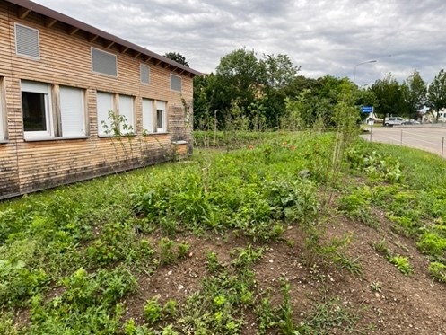 Asylunterkunft Greifensee Situation nachher 