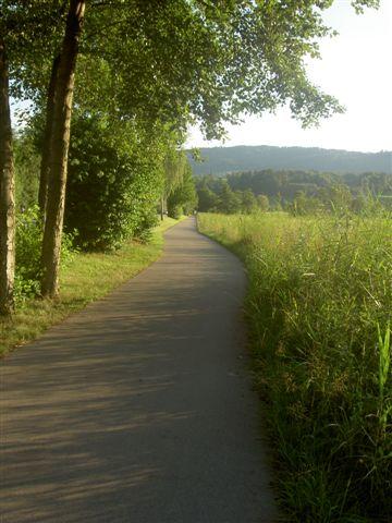 Mitten durch wunderbare Rietlandschaften.