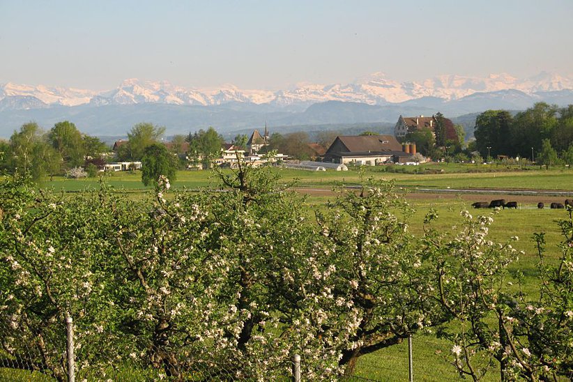 Blick vom Breitenstudenholz über das Landwirtschaftsgebiet zum Städtchen Greifensee.