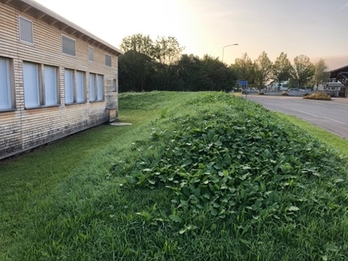 Asylunterkunft Greifensee Situation vorher