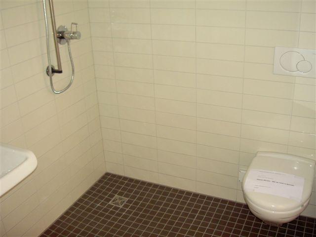 Behindertengerechte Dusche und WC (Musterwohnung).