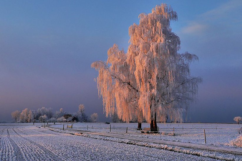 verzaubern die Landschaft im westlichen Teil der Gemeinde Greifensee.