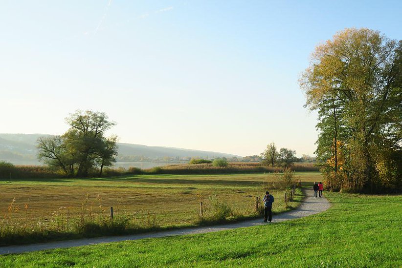 Der Greifensee ist eingebettet in eine offene Landschaft. Das gibt dem See Weite.