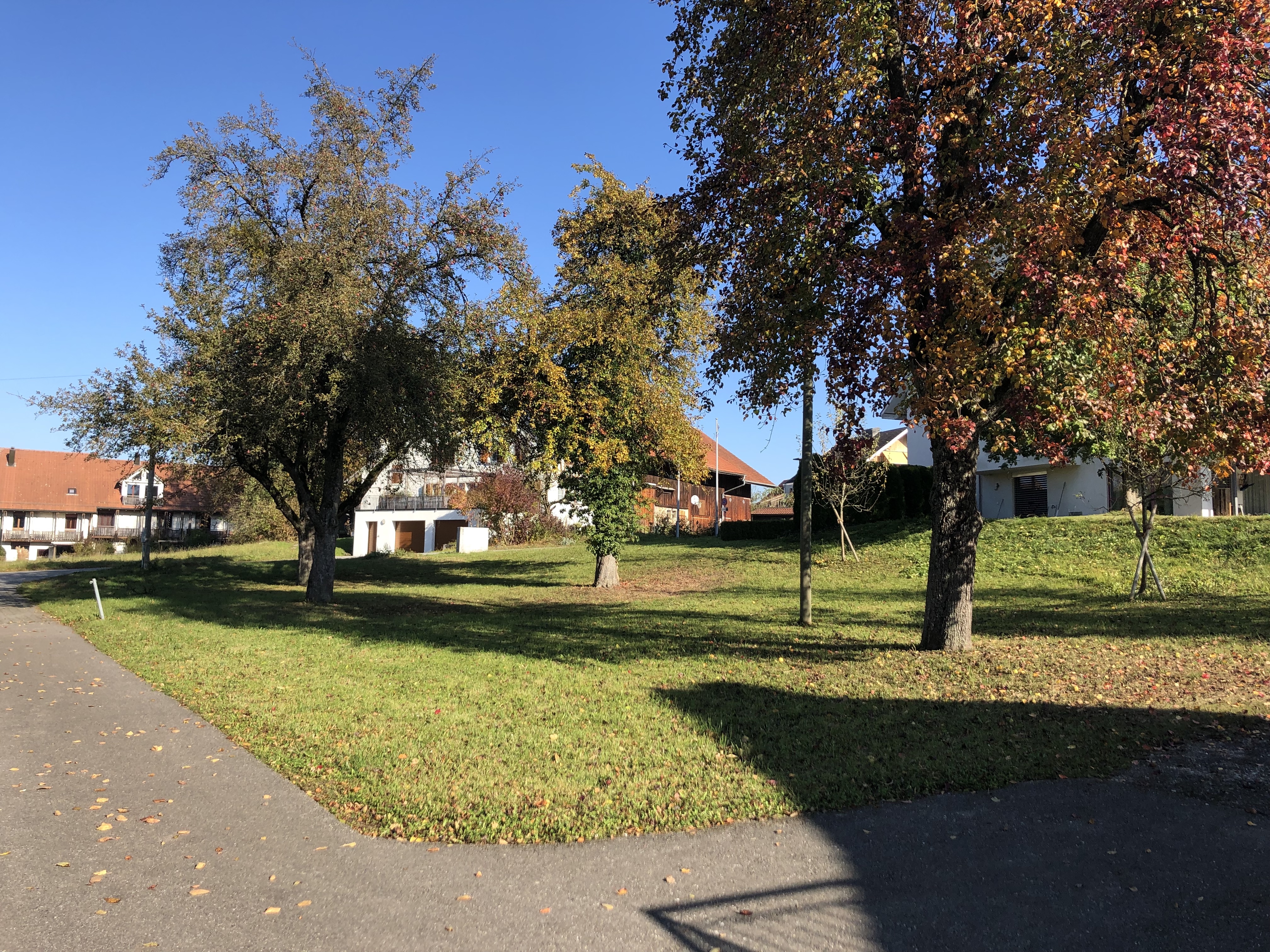 Obstgarten 