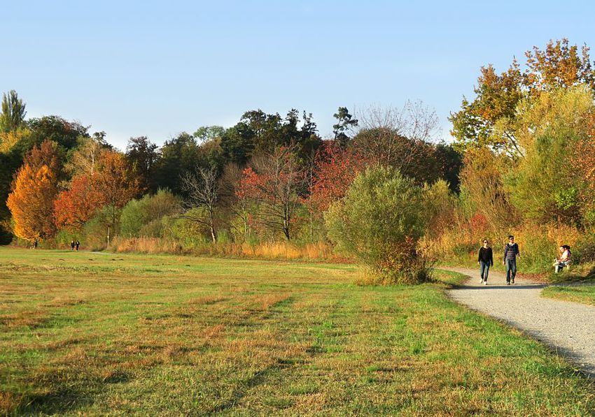 Rund um den Greifensee führt ein Wanderweg (ca. 4 Stunden). Mit der Schiffsverbindung zwischen Maur und Niederuster kann die Rundtour auch abgekürzt werden. Im Bild der Wanderweg westlich des Städtchens Greifensee.