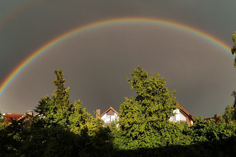 Völlig eingewachsene Einfamilienhäuser im Baumgarten (westlicher Gemeindeteil).