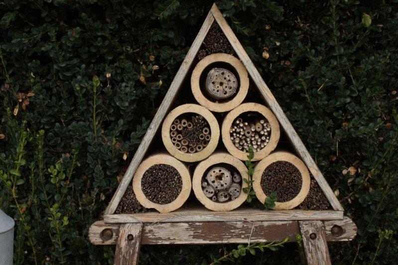 Wildbienenbehausung Wilihof