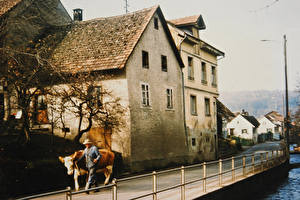Bild Dorfstrasse mit Dorfbach vor Ausbau