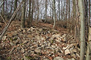 Bild: Erdmännchenhöhle